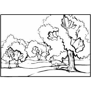 300x300 Trees By Stream Coloring Page