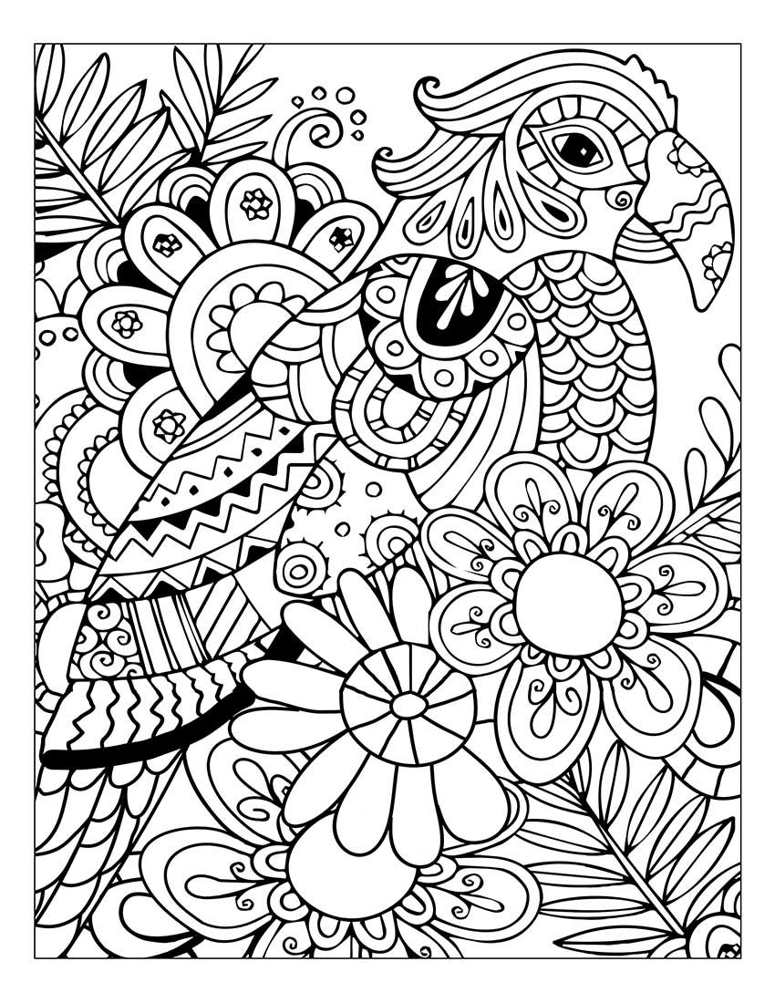 850x1100 Link Coloring Adult Coloring Books Stress Relief Flower And Nature