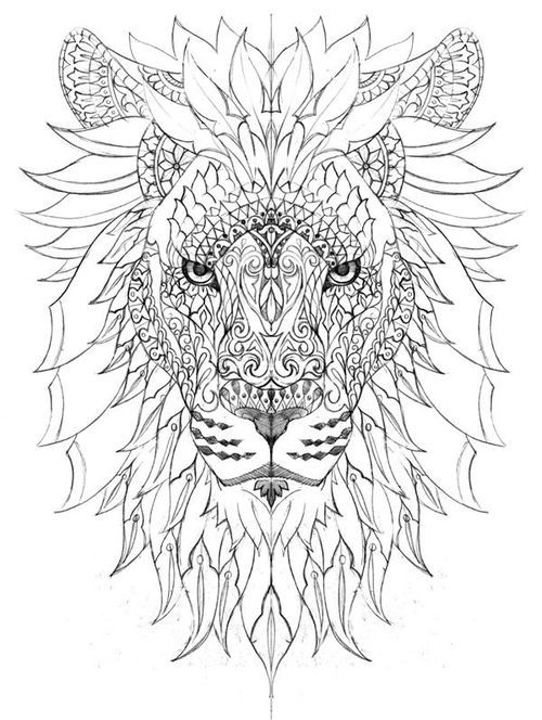 500x664 Most Popular Tags For This Image Include Lion, Stress Relief