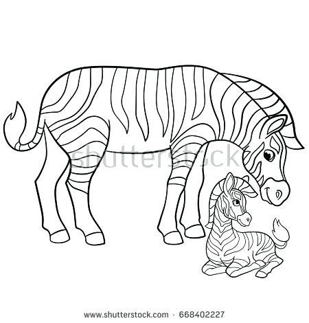 450x470 Zebra Coloring Pages Stallion Zebra Coloring Page Baby Zebra