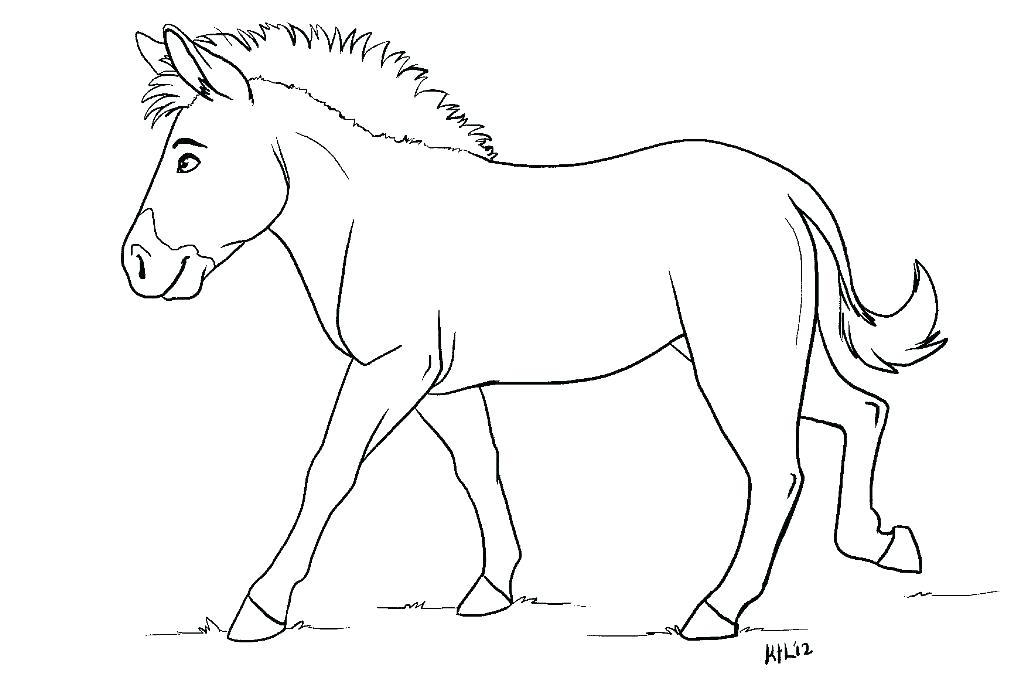 1024x692 Zebra Without Stripes Coloring Page As Well As Zebra Color Page