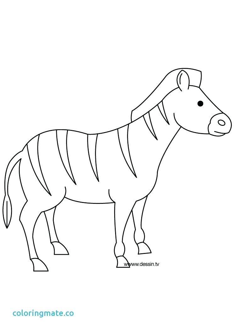 744x1052 Zebra Without Stripes Coloring Page Zebra Coloring Page Luxury
