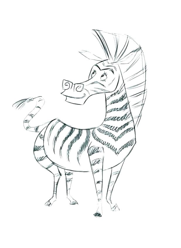 618x846 Zebra Without Stripes Coloring Pages Free Color Page Pictures