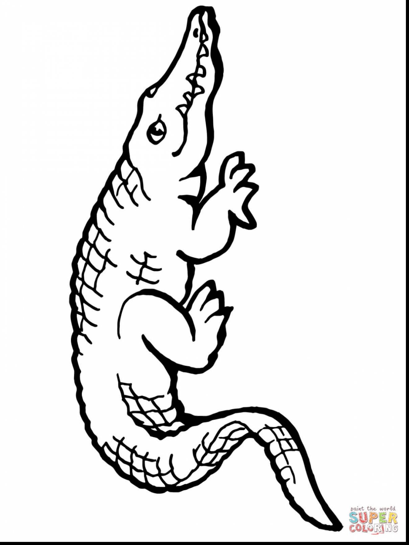 1320x1760 Successful Alligator Gar Coloring Page Spectac