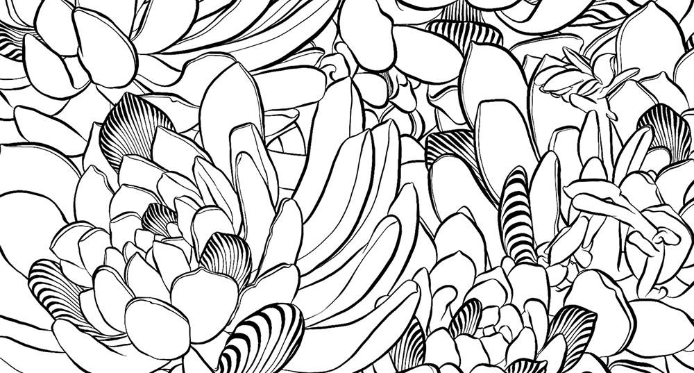 1000x537 Coloring Book Succulents