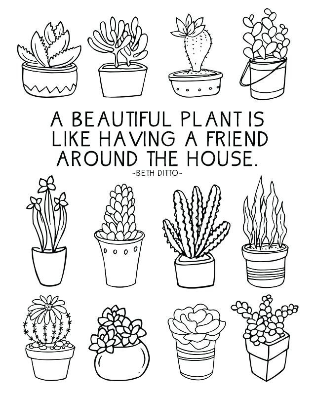 640x800 Plants Coloring Page Fun Coloring Sheet Full Of Succulents
