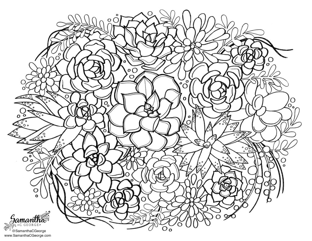 1024x791 Samantha C George Succulent Free Coloring Page Watercolor Coloring