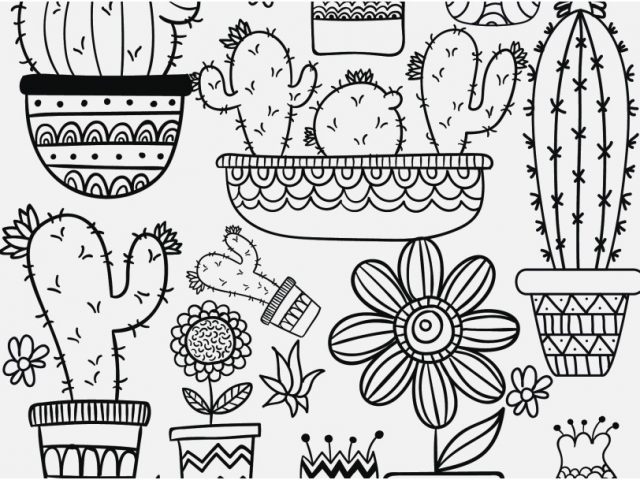 640x480 Shopping Coloring Pages Portraits Cactus And Succulent Printable