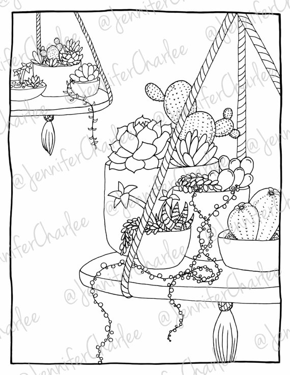 570x738 Succulent Coloring Adult Coloring Succulent Planter