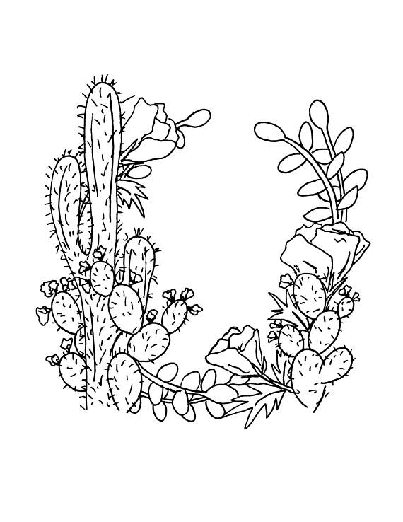 570x738 Succulent Coloring Page Cactus Coloring Floral Wreath