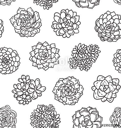 476x500 Succulents Outline Seamless Pattern. Ideal For Coloring Page
