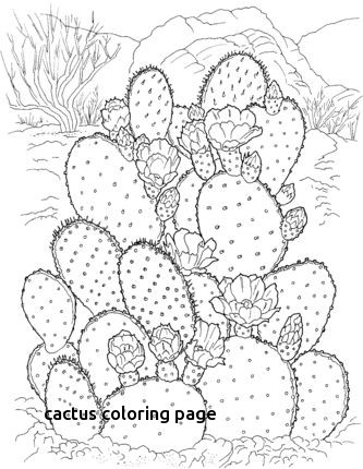 333x430 8 Best Craft Cacti Amp Succulent Images On For Cactus