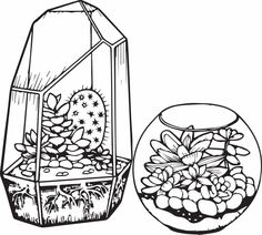 236x212 Cactus And Succulent Printable Adult Coloring Pages Adult