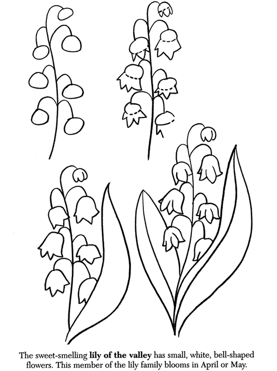 560x750 Coloring Pages