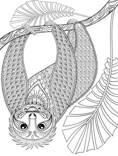 236x311 Pin By Johnnie Enloe On Adult Coloring Books Art