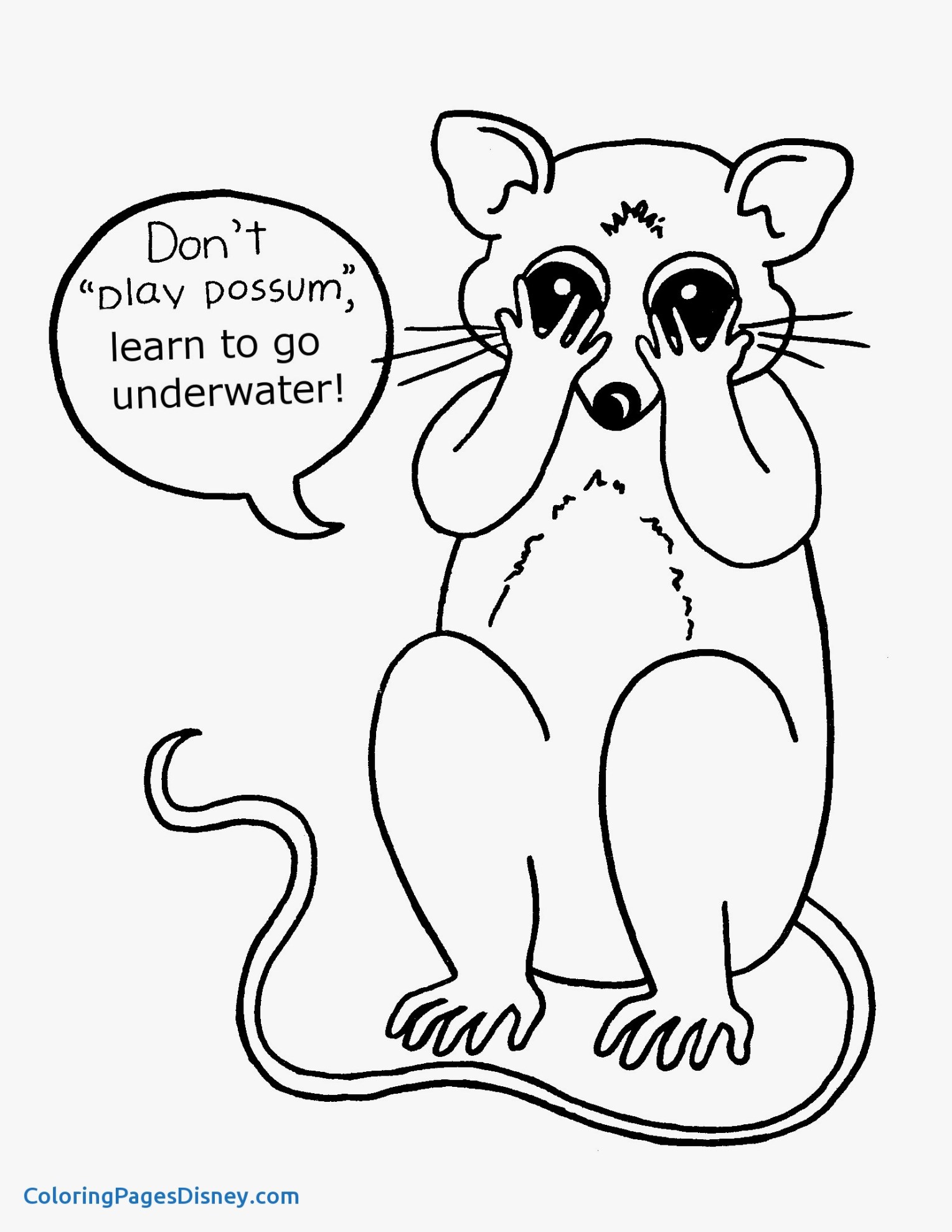 1529x1978 Innovative Possum Coloring Page Pages New 7344