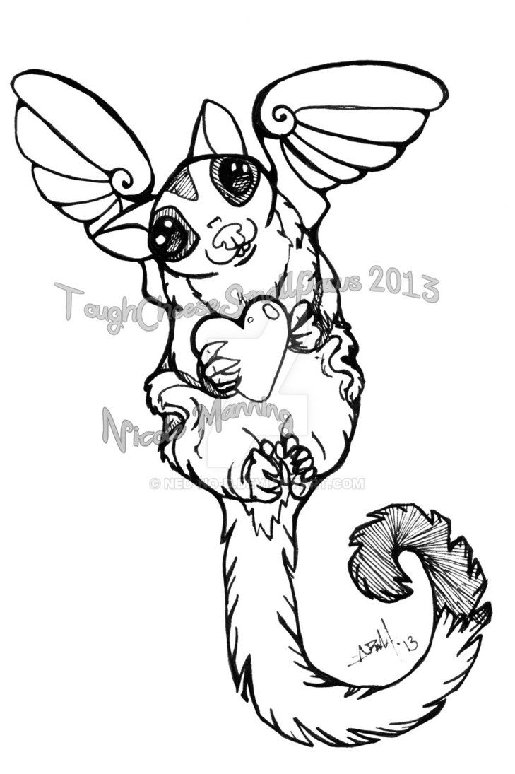 729x1095 Sugar Glider Angel By Ned No D Sugar Gliders
