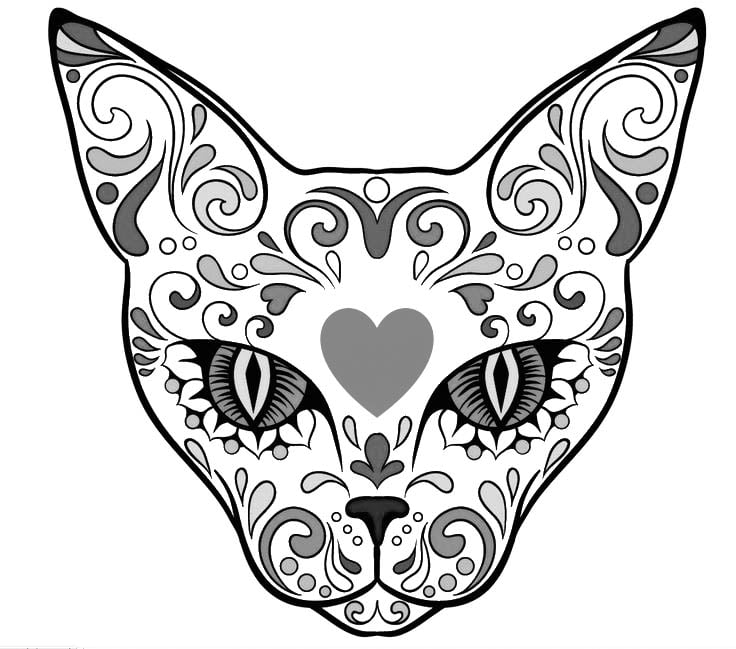 736x649 Photos For Sugaring Boutique