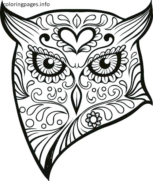 500x592 Sugar Skull Printable Coloring Pages Free Printable Skull Coloring
