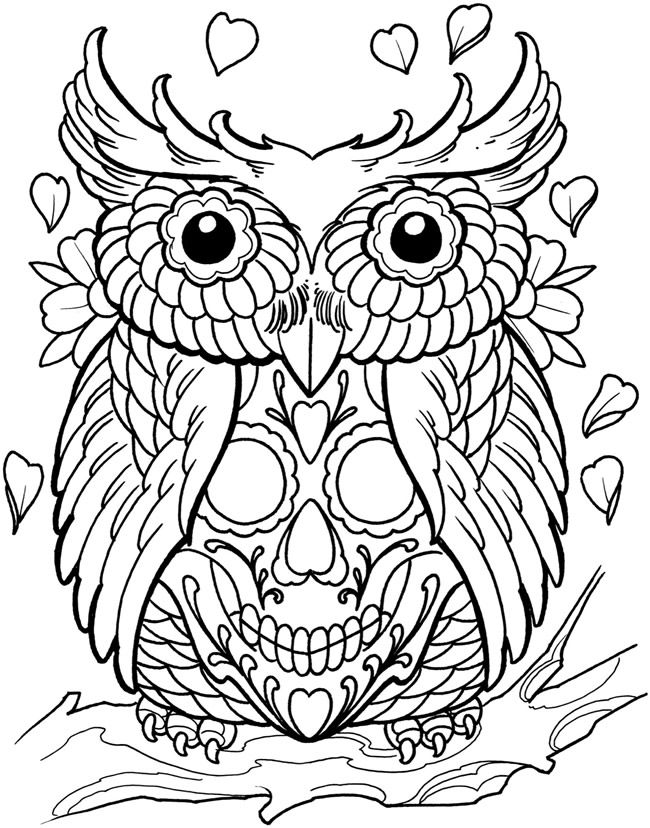 Sugar Skull Owl Coloring Pages