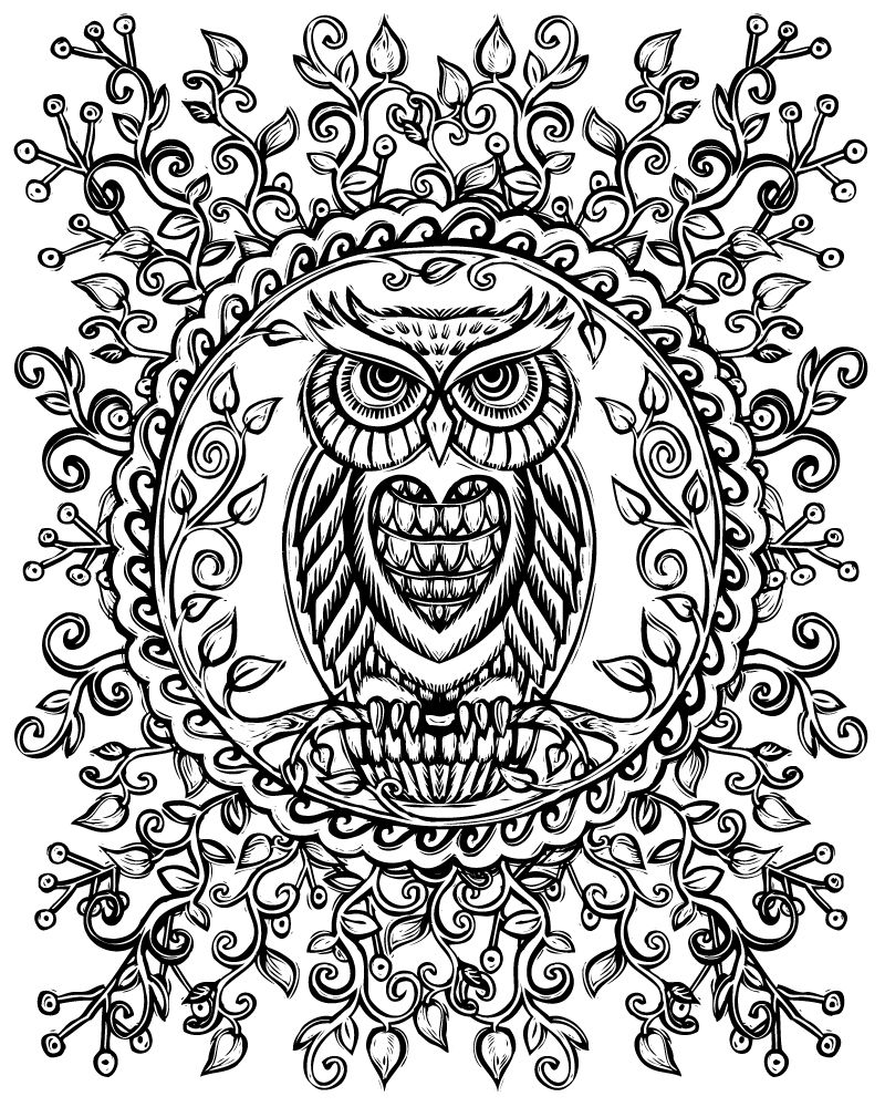 800x1000 Shop Lydia Hess Illustration Sacred Nature And Symbols Color