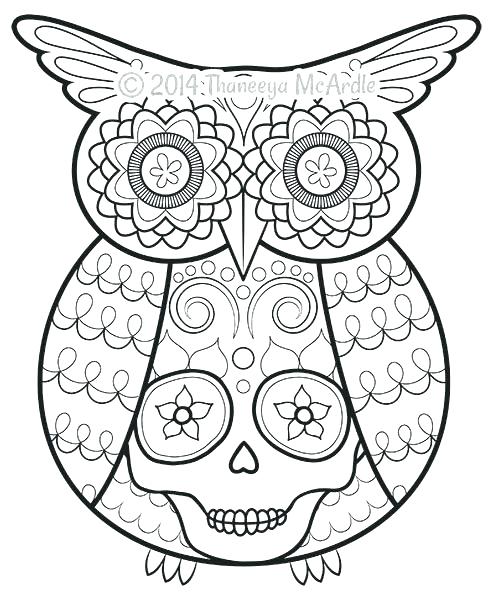 493x600 Breathtaking Free Owl Coloring Pages Usedauto.club