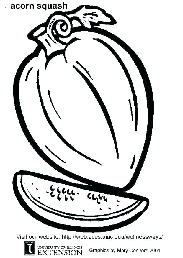620x875 Acorn Coloring Page Suitcase Coloring Page Squirrel With Acorn