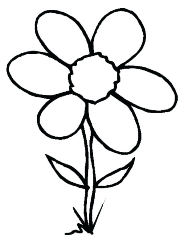 600x804 Suitcase Coloring Page Spring Flower Wild Spring Flower Is Grow Up
