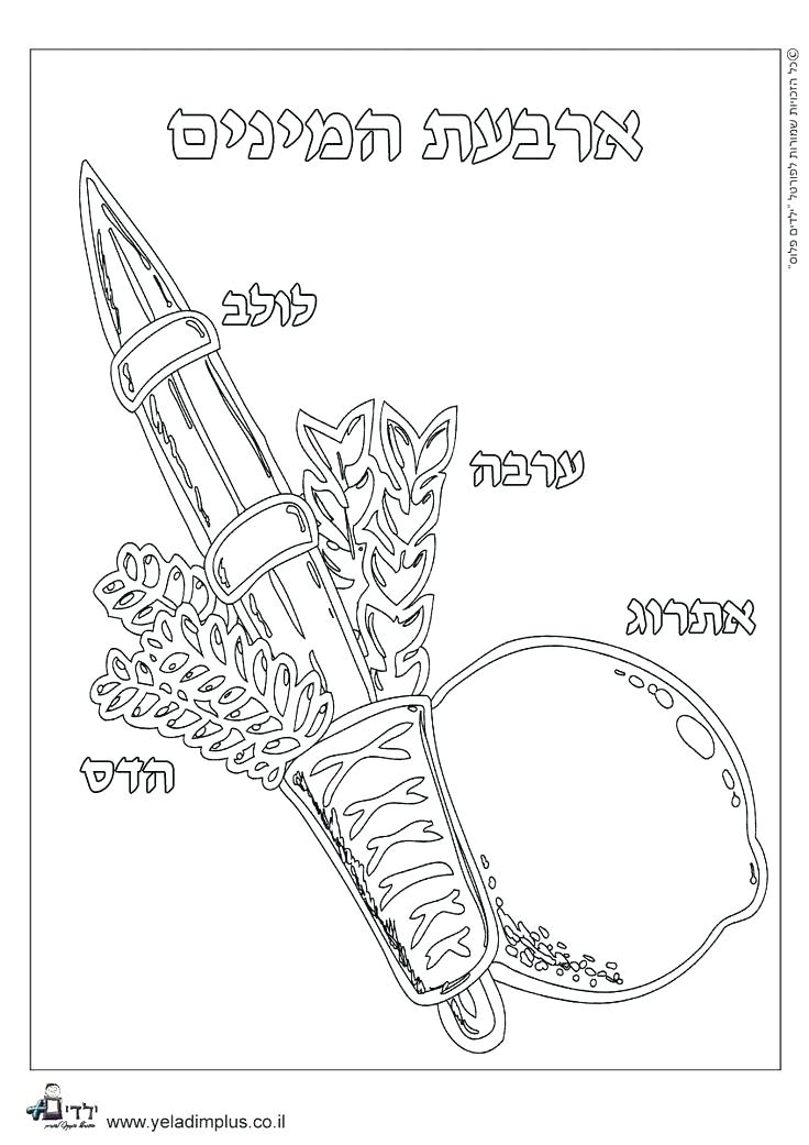 736x1041 Sukkot Coloring Pages Week 6 Free Coloring Pages For Kids Sukkot