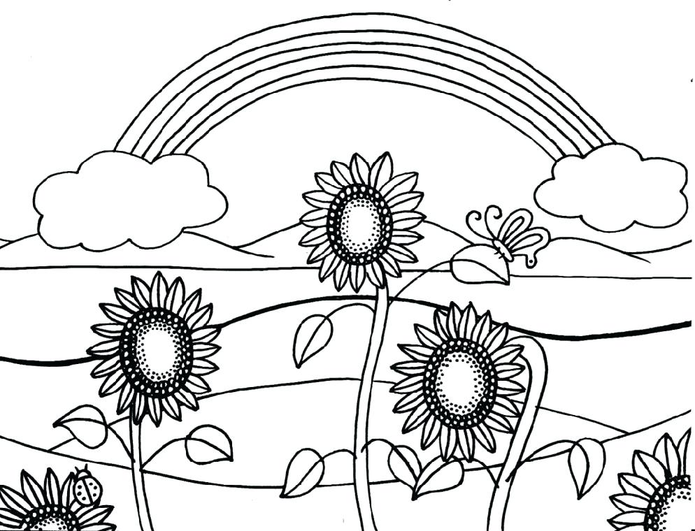 994x760 Summer Color Sheets