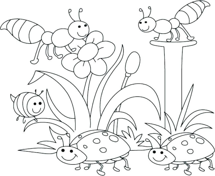 863x706 Summer Coloring Pages For Kindergarten Pages Archives And Page