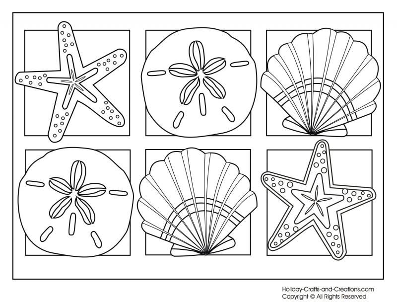 800x618 Free Seashells Summer Coloring Page Zps5b2ad684 For Summer