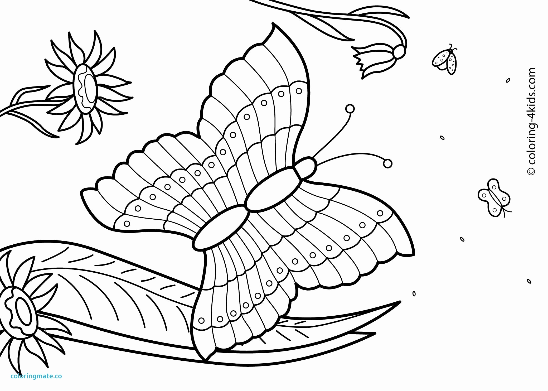 2079x1483 Summer Coloring Pages Free Unique Summer Coloring Pages Pdf New 27