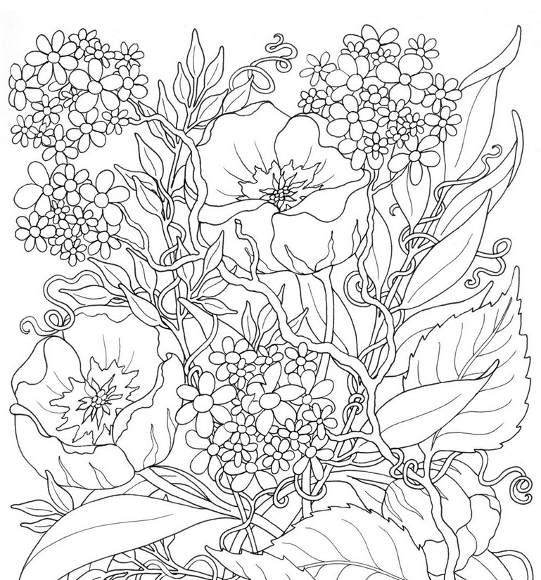 769x825 Adult Coloring Page Summer Flowers 3
