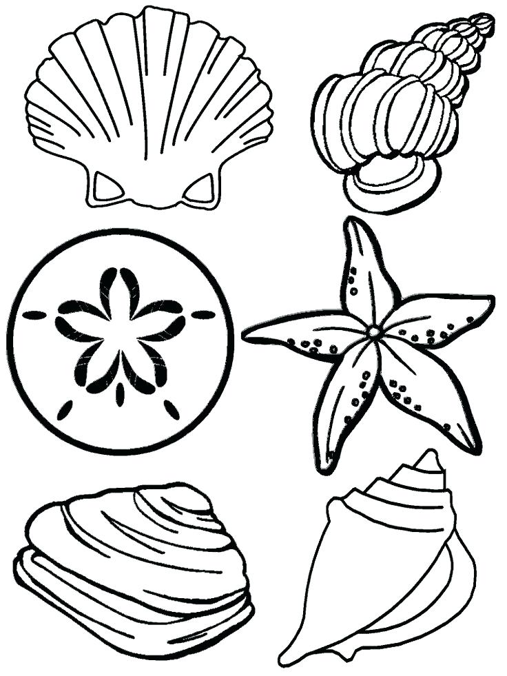 736x981 Coloring Pages For Summer Summer Coloring Pages Summer Vacation