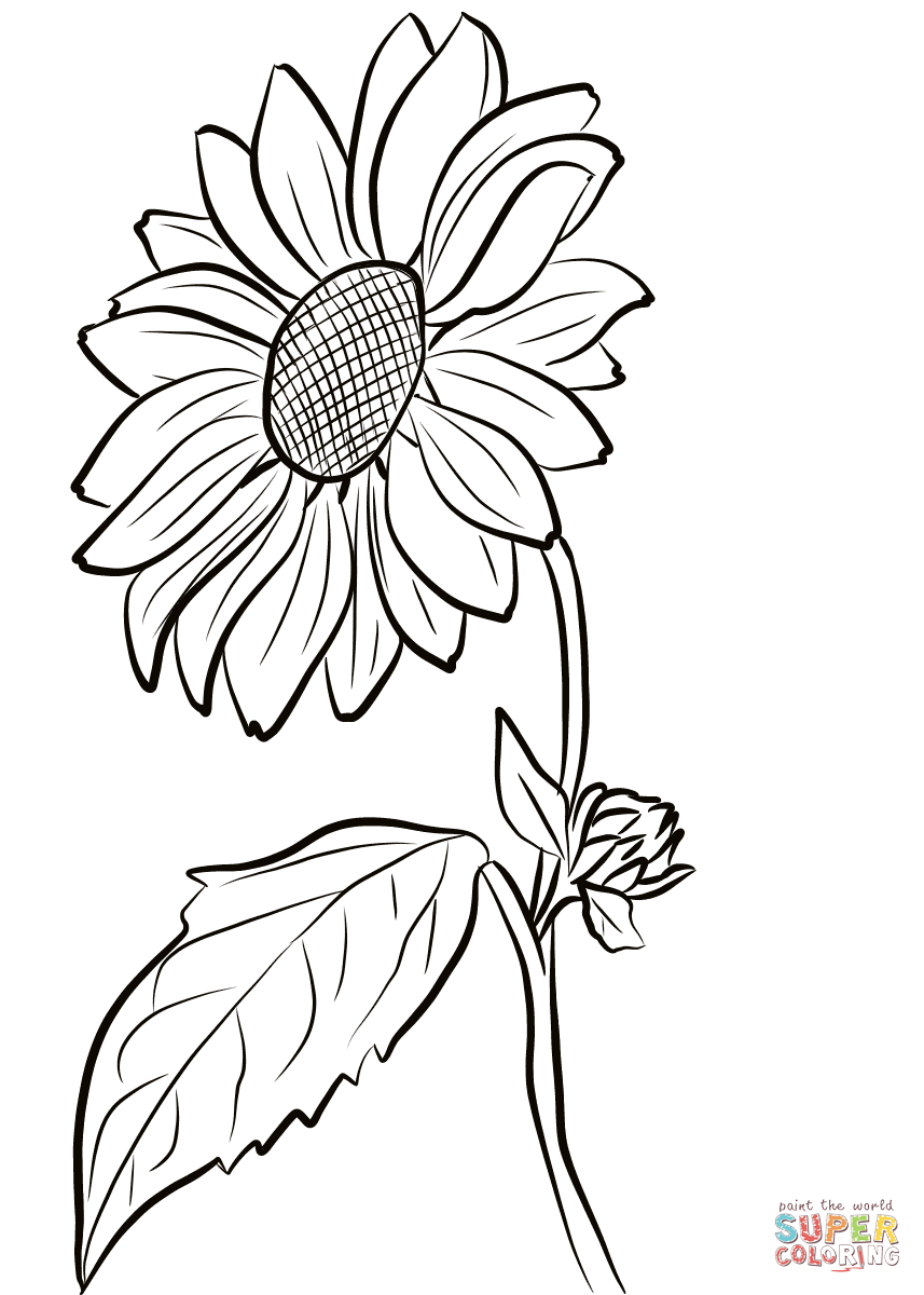 857x1200 Daisy Flower Sun Coloring Page Printable In Tiny Photo Sunflower
