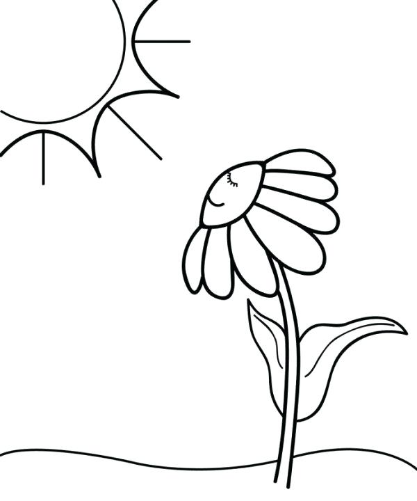 600x720 Sun Coloring Page Impair.co