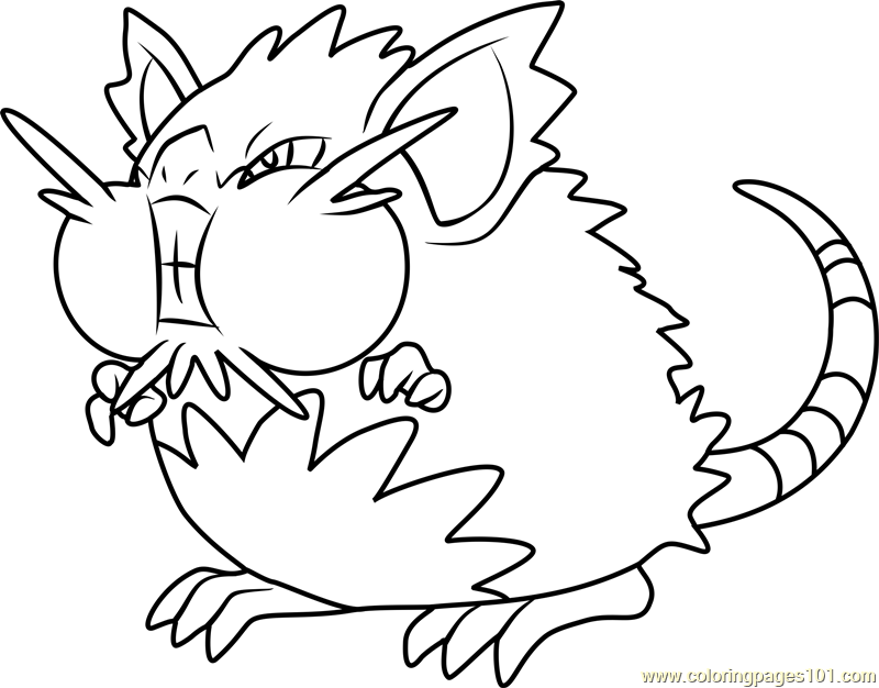 800x626 Alola Raticate Pokemon Sun And Moon Coloring Page
