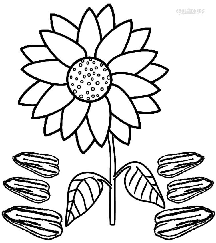 756x850 Printable Sunflower Coloring Pages For Kids Cool2bkids Plant