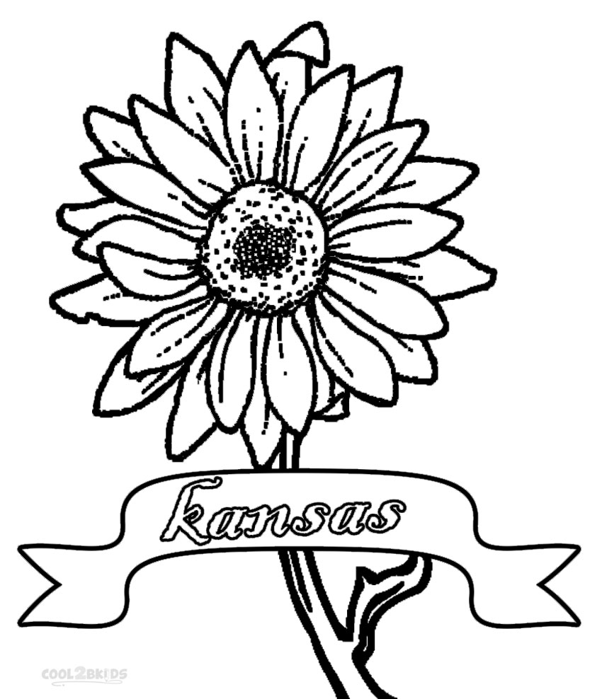 850x988 Printable Sunflower Coloring Pages For Kids Cool2bkids
