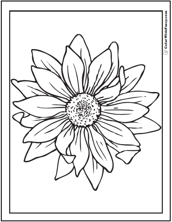 590x762 Sunflower Coloring Page Pdf Printables