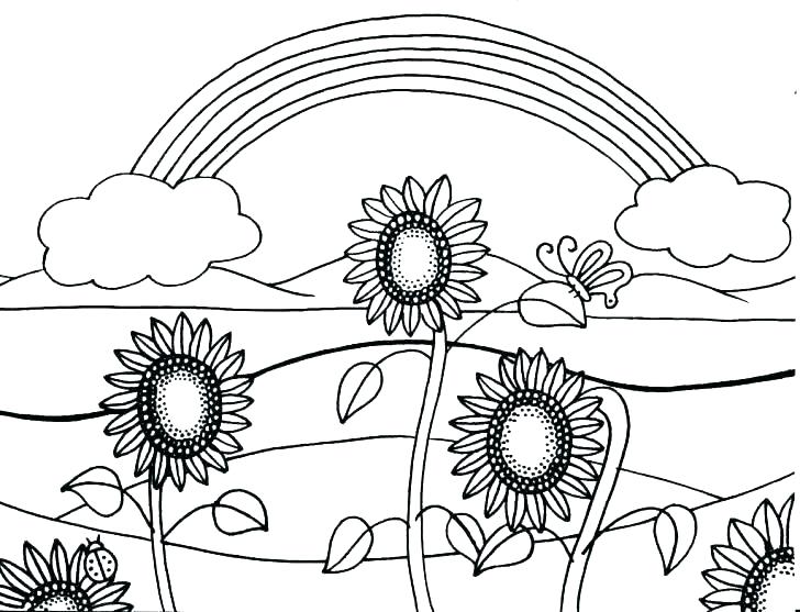 728x557 Sunflower Coloring Pages Color By Number Sunflower Coloring Page