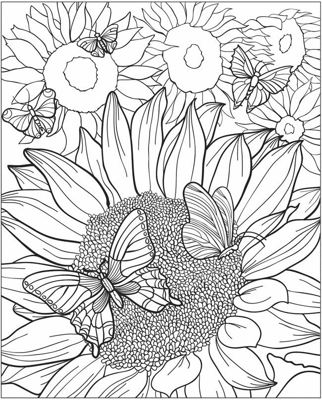 650x809 60 Desenhos Para Adultos