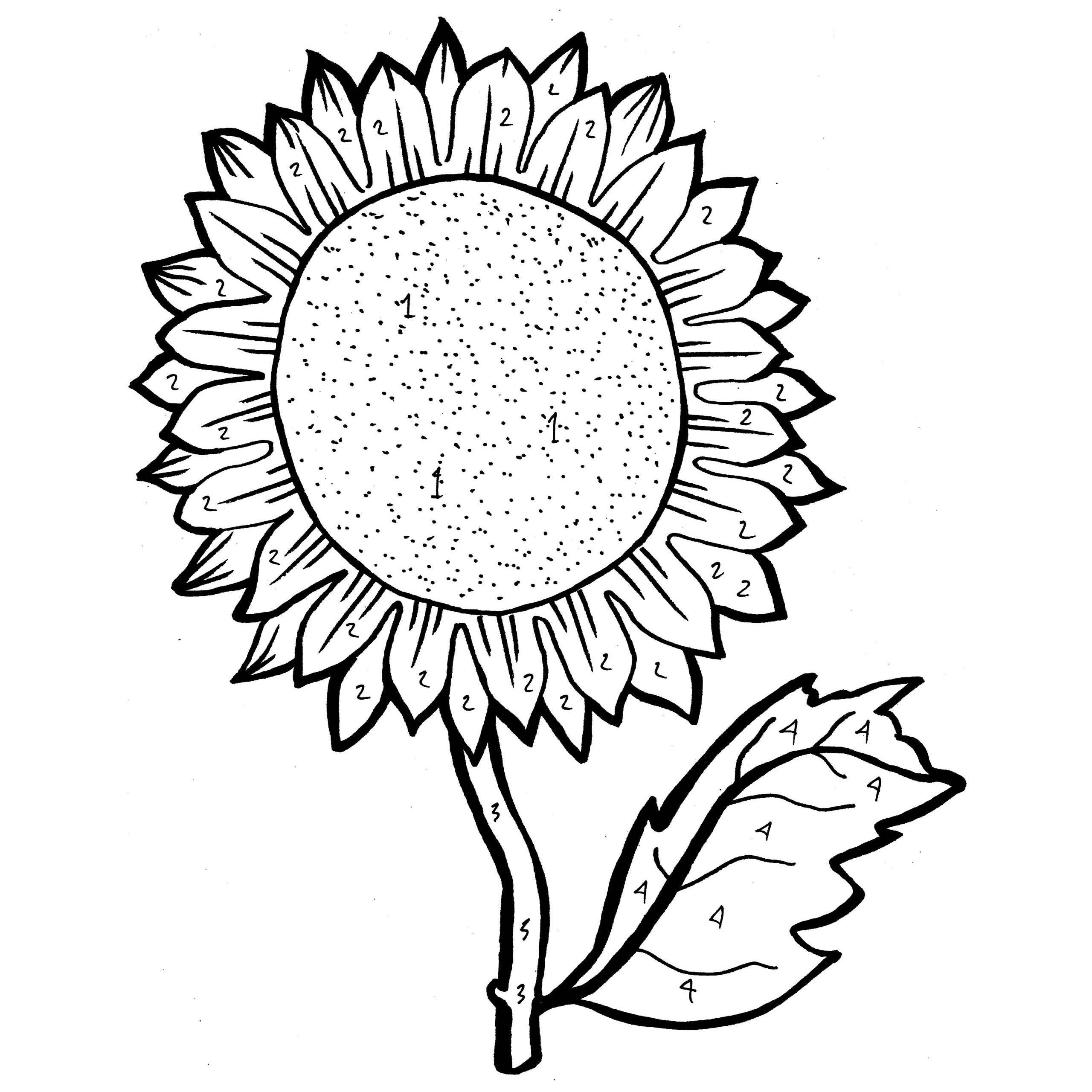 2560x2560 Survival Sunflower Coloring Sheet Odd Sheets For Young Adults 9687