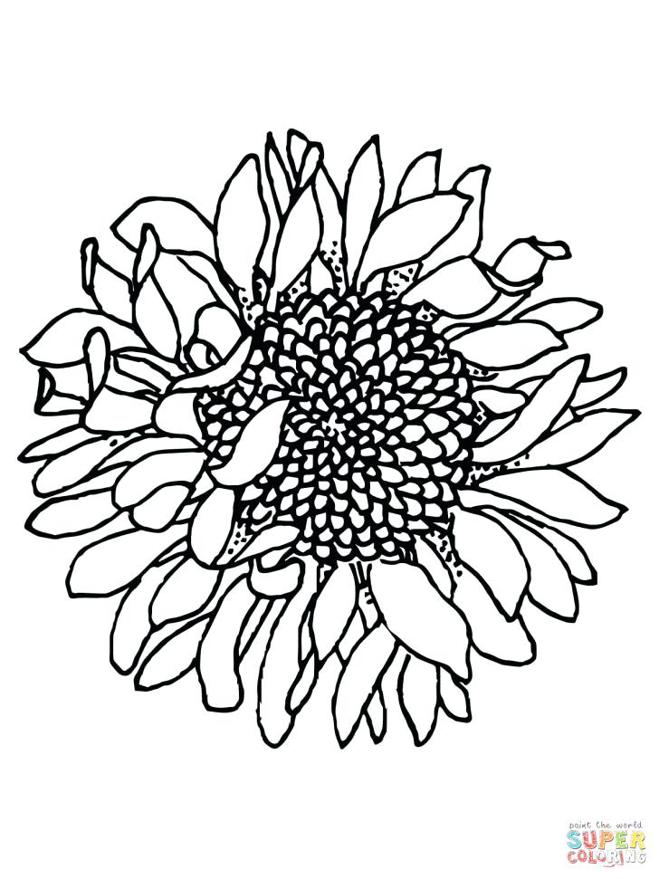 728x971 Little Sunflower Smiling Coloring Page For Kids Flower Coloring