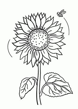 260x362 20 Best Coloring Book Drawings Images On Coloring