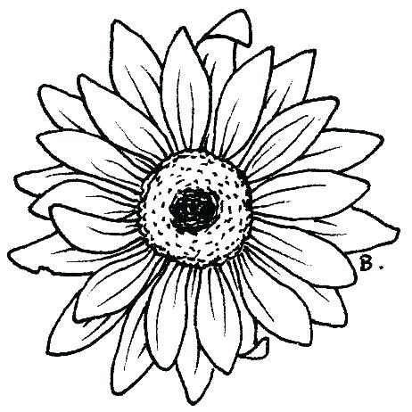 462x462 Sunflower Coloring Pages Sunflowers Coloring Pages Printable