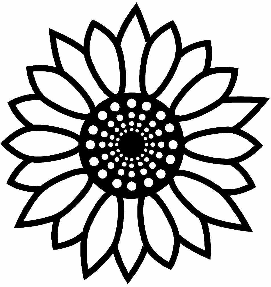 950x1005 Sunflower Flower Coloring Pages Printable Wedding Stuff