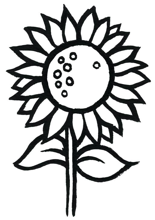 514x729 Best Of Flower Coloring Pages For Kids For Sunflower Coloring