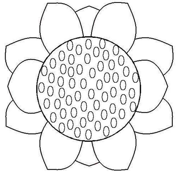 600x600 Close Up Sunflower Coloring Page